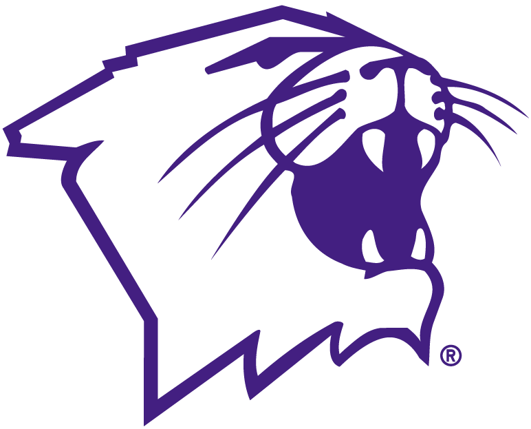 Northwestern Wildcats 1981-Pres Partial Logo iron on transfers for clothing